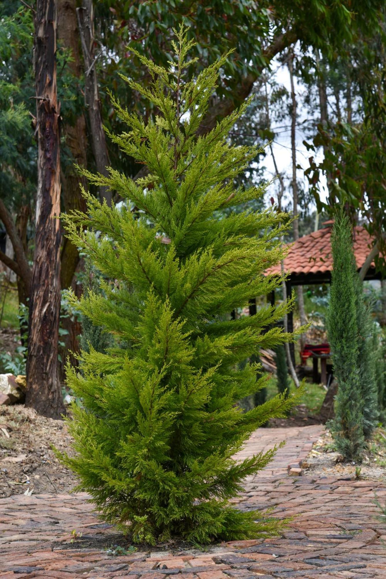 Golden Glamping Hotel Guatavita Bagian luar foto