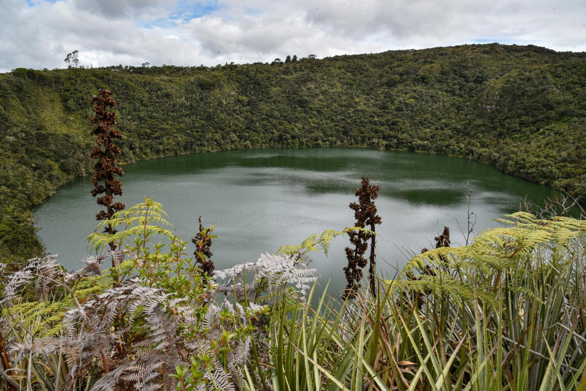Golden Glamping Hotel Guatavita Bagian luar foto